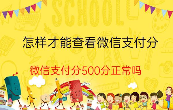 怎样才能查看微信支付分 微信支付分500分正常吗？